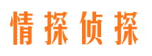 沧县市侦探公司